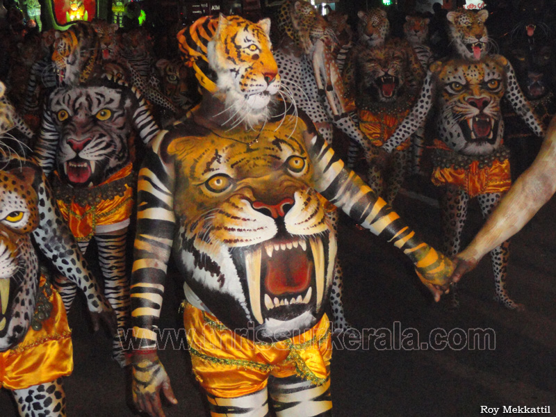 pulikkali-2011 (53)
